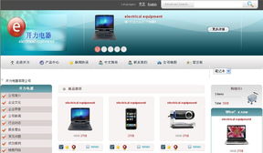 電氣產(chǎn)品企業(yè)網(wǎng)站制作與計(jì)算機(jī)軟件開發(fā)的任務(wù)交流